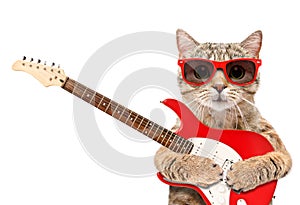 Cat in sunglasses with electric guitar