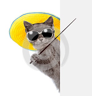 Cat in sunglasses and hat holding a pointing stick and points on empty banner. isolated on white background