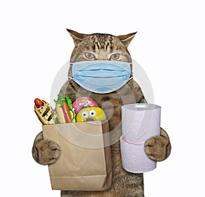 Cat in surgical mask with groceries 2