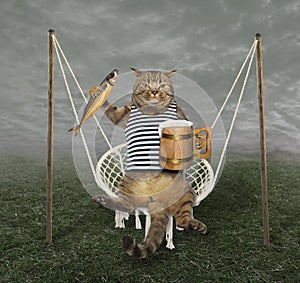 Cat on swing with beer 2
