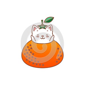 Cat with tangerine