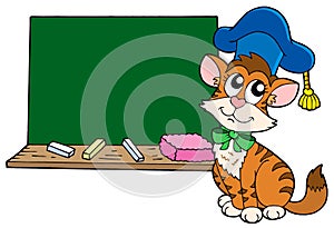 Cat teacher with blackboard