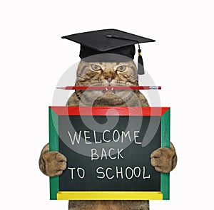 Cat teacher with pencil and blackboard