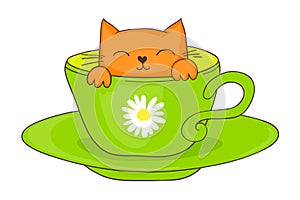 Cat in a teacup illustration