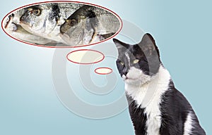 The cat thinks the fish in the speech bubble