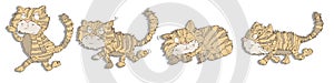 The cat to camina strips and sleeps mascot Color illustration for books and fables photo