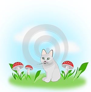 Cat and toadstools