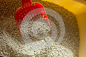 Cat toiler - litter in a box with red plastic scoop.