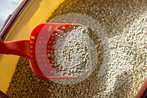 Cat toiler - litter in a box with red plastic scoop.