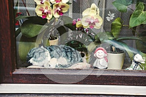 Cat toy decorating the window of a house