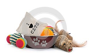 Cat toys and accessories on white background