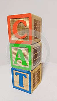 Cat toys blocks