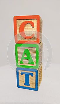 Cat toys blocks