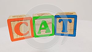 Cat toys blocks