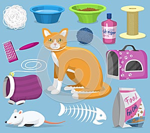 Cat toys pets accessories for pussycats care or playing kitten bowl and animal grooming tools kitty brush illustration photo