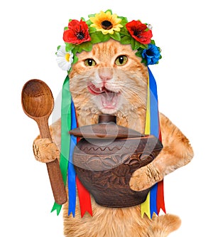 Cat in the traditional Ukrainian costume holds in paws national red borsch .