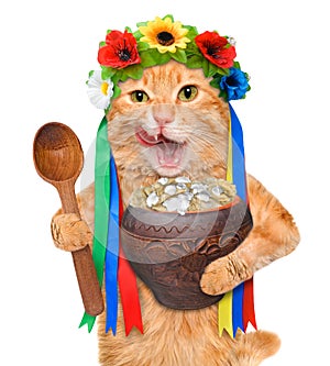 Cat in the traditional Ukrainian costume holds in paws soup national varenyky.