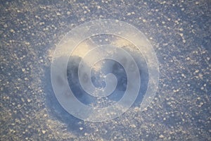 Cat trail on the snow surface