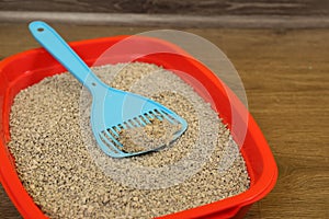Cat tray with clumping litter and scoop on floor, closeup