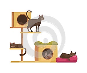 Cat Tree Icon