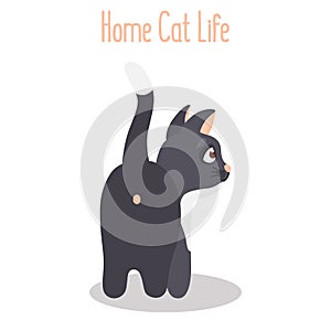 The cat turned backwards color flat icon