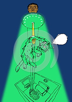 The cat and UFO photo