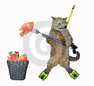 Cat underwater hunter caught goldfish