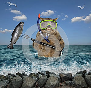 Cat underwater hunter with a speargun