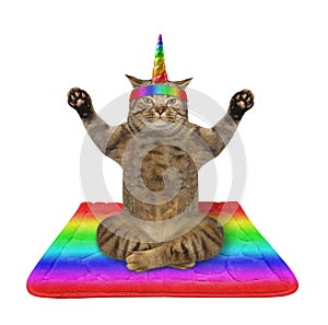 Cat unicorn doing yoga practice