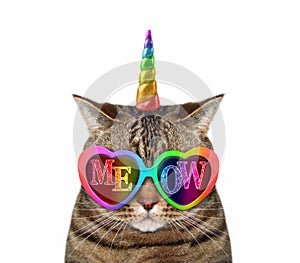 Cat unicorn wears meow sunglasses 3