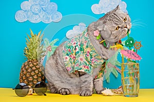 A cat on vacation in a Hawaiian shirt with pineapples and sun glasses and a cocktail drinking from a straw. On the beach with