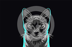 Cat vector