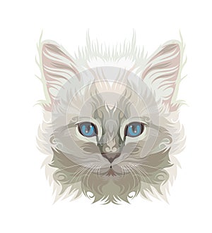 Cat vector