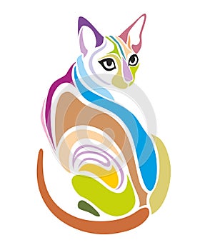 Cat Vector Decorative graphic design