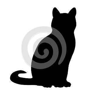 Cat vector illustration on white background