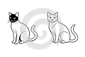 Cat vector line art icon set
