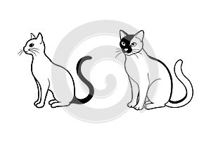 Cat vector line art icon set
