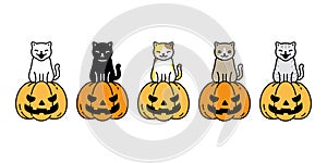 Cat vector pumpkin Halloween icon kitten breed calico logo symbol cartoon character illustration ghost doodle design
