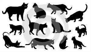 Cat vector silhouette set of cats