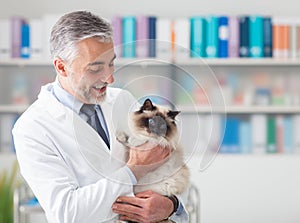 Cat at the veterinary clinic