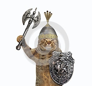 Cat viking with two sided axe