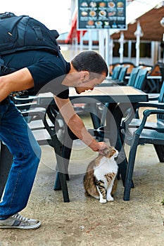 The cat is waiting for food while sitting under a table on a summer terrace in a cafe