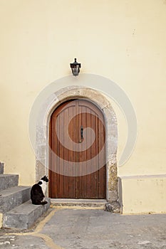 A cat is waiting in front of door