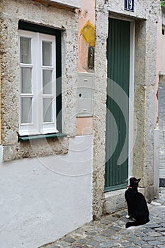 Cat waiting to open the door