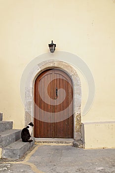 a cat waits in front of a wooden door