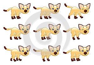 Cat walking animation.