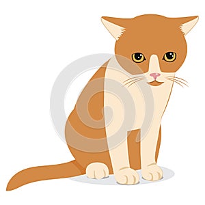 Cat Wants To Come In. Sad Forlorn Cat. Cartoon Vector Illustration.