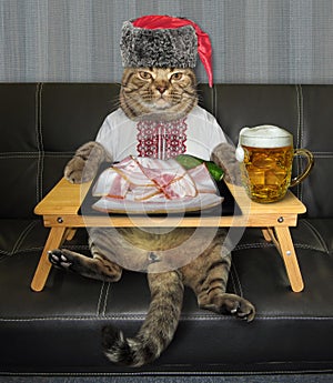 Cat wants to eat salo with beer 2