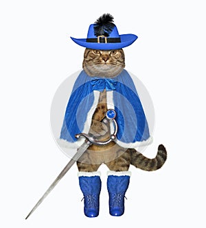 Cat warrior in blue with a sword
