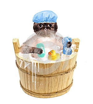 Cat washes